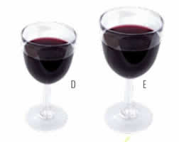 Libert Wine Glasses