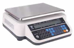 Electronic Retail Scale