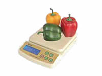 Portion Scale Electronic
