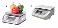 Portion Scales Electronic